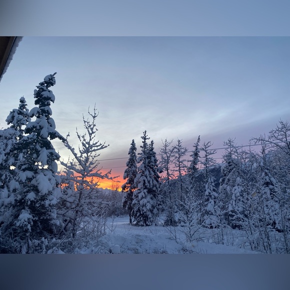 Alaska - Picture 9 of 14